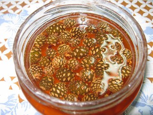 Как приготовить сосновое варенье