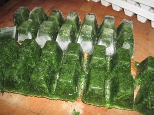 Замороженная петрушка будет свежей и ароматной даже в зимние морозы