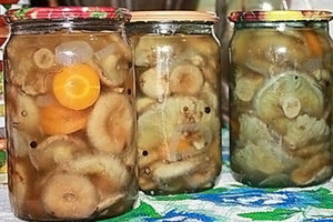 Как правильно мариновать волнушки