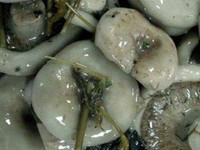 Сыроежки