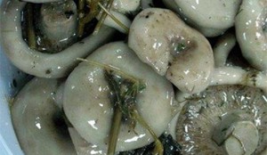 Сыроежки