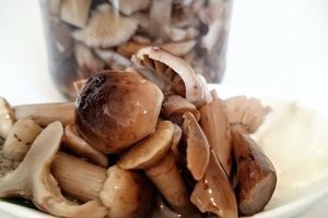 Маринованные вешенки - вкусно и очень быстро