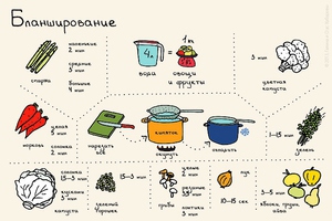 Время бланшировки - полезные подсказки