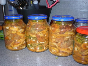 Маринованные грибы в банки
