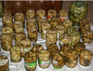 Процесс маринования рыжиков