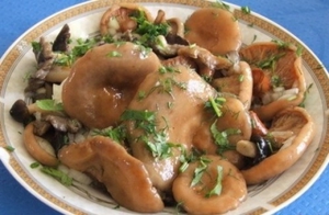 Рецепт маринованных рыжиков