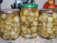 Описание способов маринования грибов шампиньонов в домашних условиях
