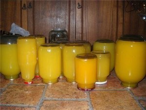 Сок из тыквы в домашних условиях