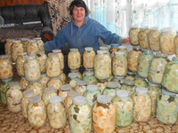 Описание способов засолки грибов на зиму в домашних условиях