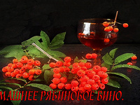 Рябиновое вино - рецепт домашнего алкоголя