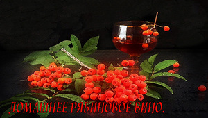 Рябиновое вино - рецепт домашнего алкоголя