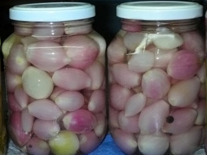 Маринование лука Правила маринования лука