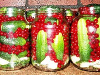 Маринованные огурцы со смородиной - очень вкусно!
