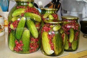 Как приготовить вкусные маринованные огурцы
