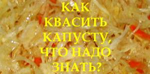 Вкусные рецепты квашенной капусты