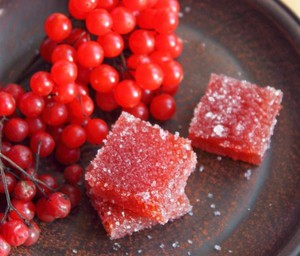 Желе из красной калины