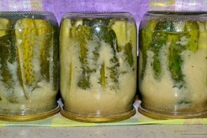 Как закрыть огурцы в банки