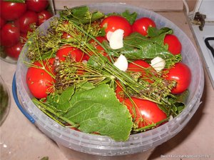 Вкусные соленые помидорки на зиму