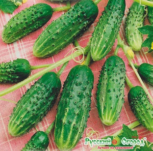 Огурец капелька