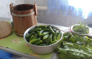 Идеальная тара для вкусных засоленных огурчиков - деревянная бочка