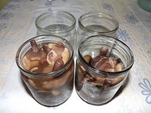 Как правильно закрвть маслят в банки