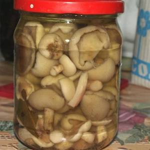 Маринованные маслята