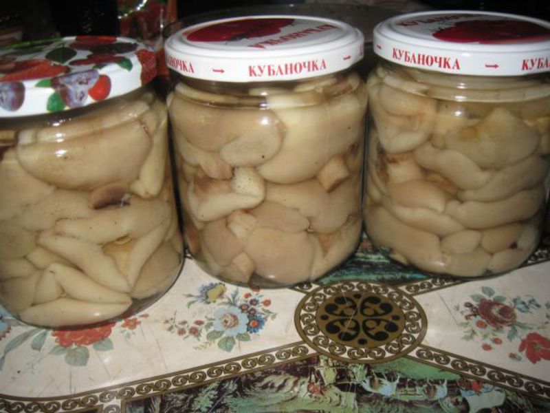Как приготовить грибы на зиму
