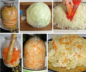 Выбор капусты