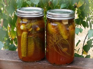 Способы маринования огурцов в кетчупе