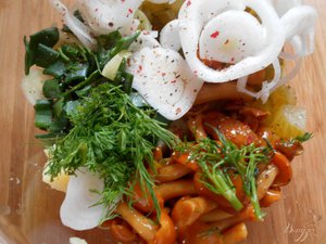 Рецепты приготовления вкусных маринованных опят 