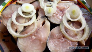 Как мариновать рыбу