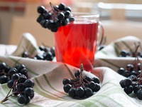 компот из черноплодной рябины рецепты