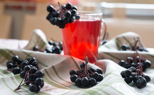  компот из черноплодной рябины рецепты