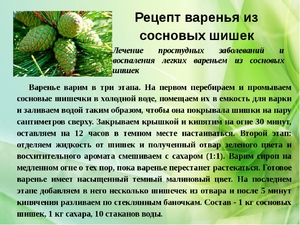 Варенье из кедровых шишек,  польза и противопоказания