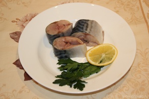 Как засолить скумбрию