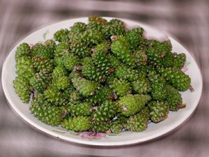 Варенье из сосновых шишек