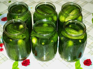 Консервация огурцов на зиму