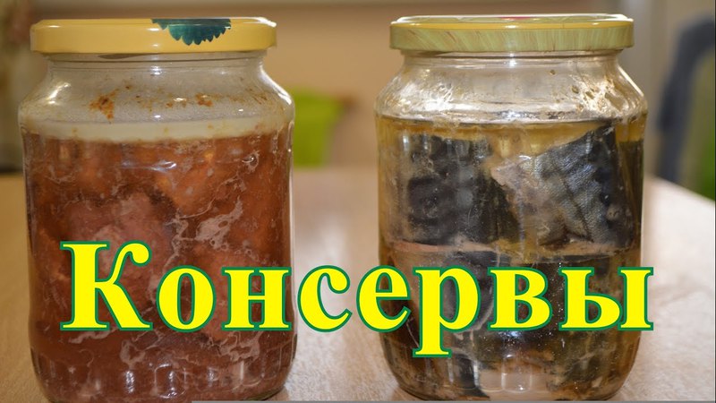 Консервы из скумбрии на зиму
