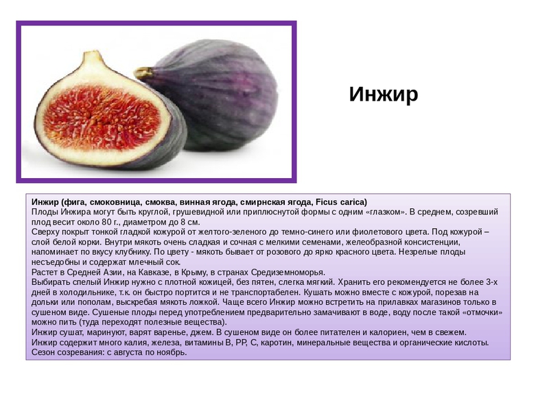 Сушка фруктов