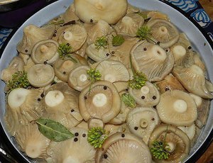 Рецепт Маринованные грузди в банках