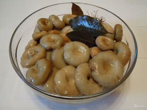 Соление чёрных груздей в банке