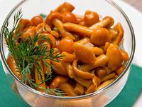 Вкуснейшие рецепты: как готовить грибы рыжики