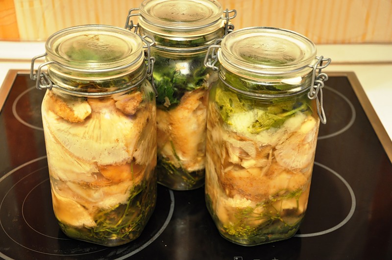 Маринованные рыжики
