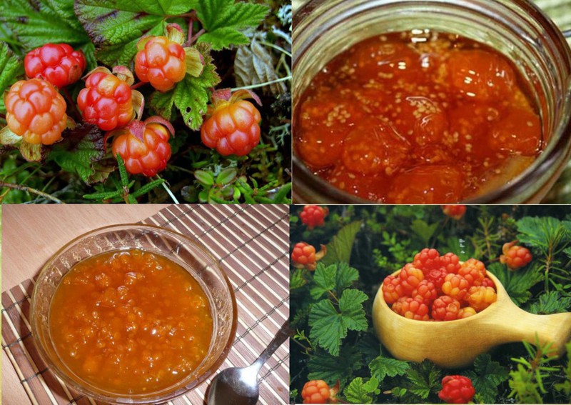Как варить варенье из морошки