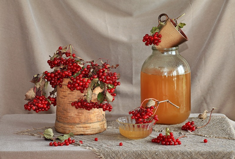 Рецепт калина с медом
