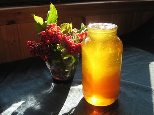 Употребление калины с медом