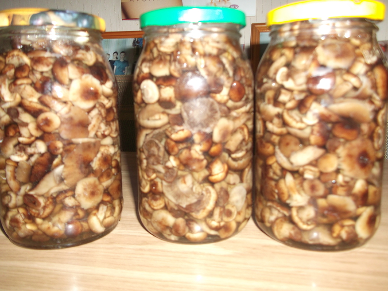 Маринование на зиму с чесноком