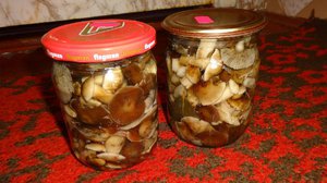 Маринованные маслята без уксуса