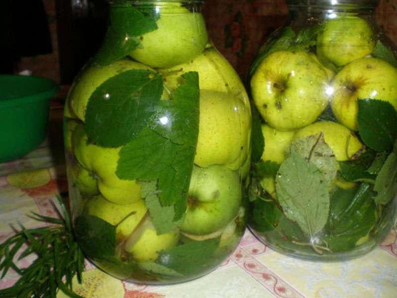 Рецепт мочёной антоновки
