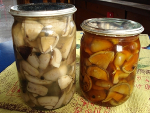 Маринованные синеножки быстрого приготовления